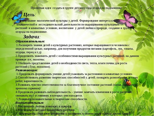 Презентация по познавательному развитию (ФЦКМ) Проект "Огород на окне"- "Во саду ли, в огороде..."