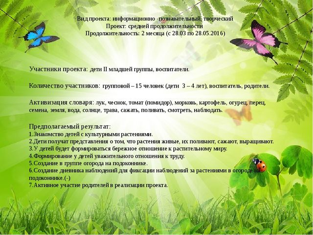 Презентация по познавательному развитию (ФЦКМ) Проект "Огород на окне"- "Во саду ли, в огороде..."
