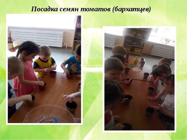 Презентация по познавательному развитию (ФЦКМ) Проект "Огород на окне"- "Во саду ли, в огороде..."