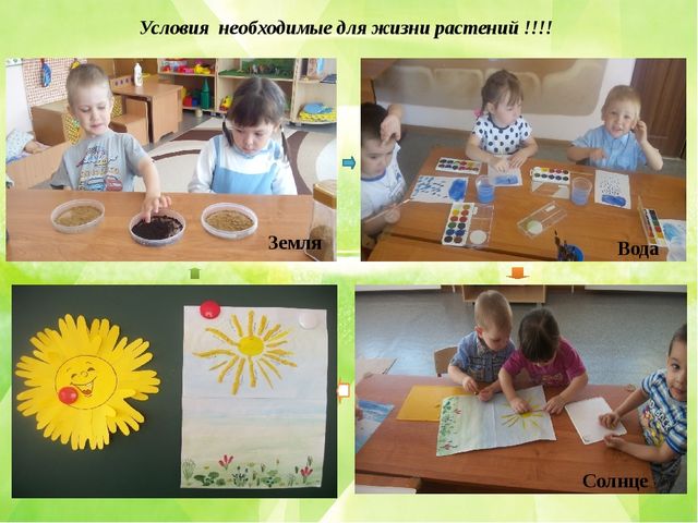 Презентация по познавательному развитию (ФЦКМ) Проект "Огород на окне"- "Во саду ли, в огороде..."