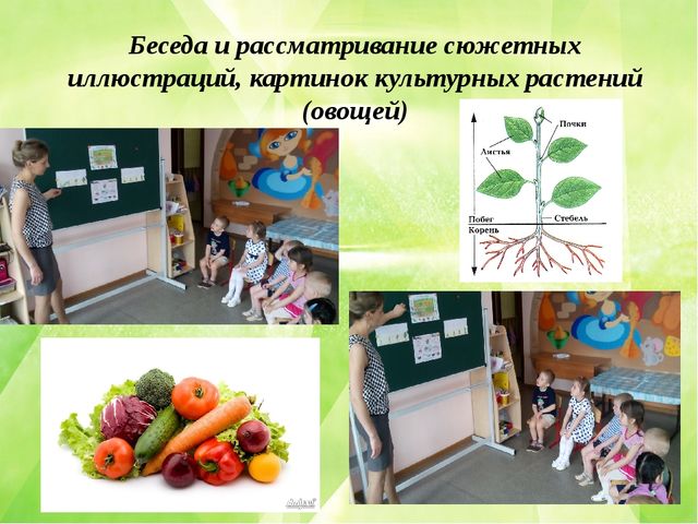 Презентация по познавательному развитию (ФЦКМ) Проект "Огород на окне"- "Во саду ли, в огороде..."