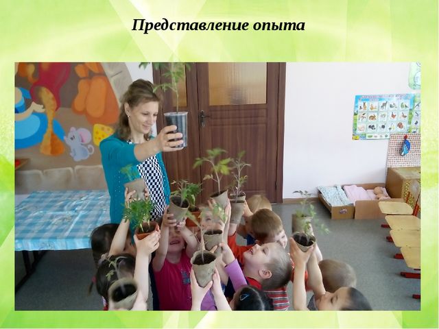 Презентация по познавательному развитию (ФЦКМ) Проект "Огород на окне"- "Во саду ли, в огороде..."