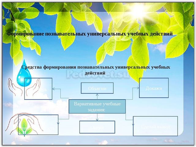 Развитие исследовательской деятельности в условиях реализации ФГОС дошкольного и начального образования. Презентация "