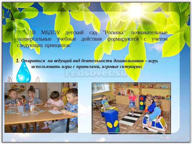 Развитие исследовательской деятельности в условиях реализации ФГОС дошкольного и начального образования. Презентация "