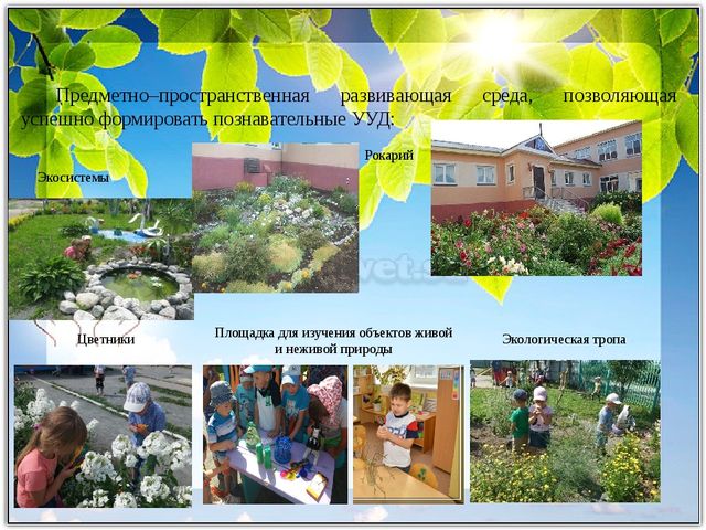 Развитие исследовательской деятельности в условиях реализации ФГОС дошкольного и начального образования. Презентация "