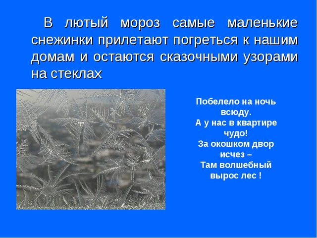 Презентация "Тайна маленькой снежинки"
