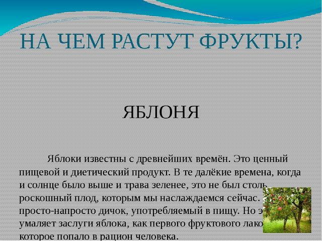Презентация "фрукты" (старшая группа)