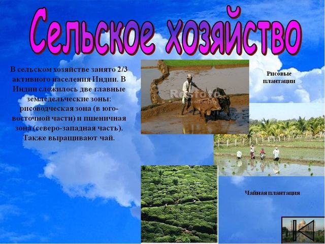 Презентация старшие дошкольники "Индия на лодошке"