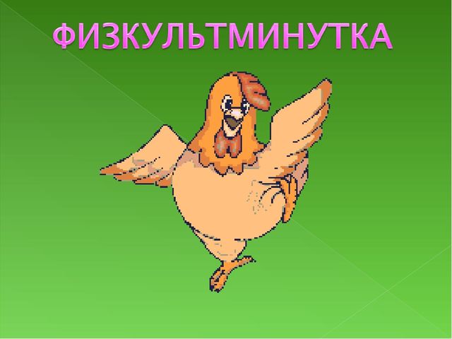 Презентация к занятию Домашние птицы для подготовительной группы