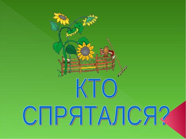 Презентация к занятию Домашние птицы для подготовительной группы