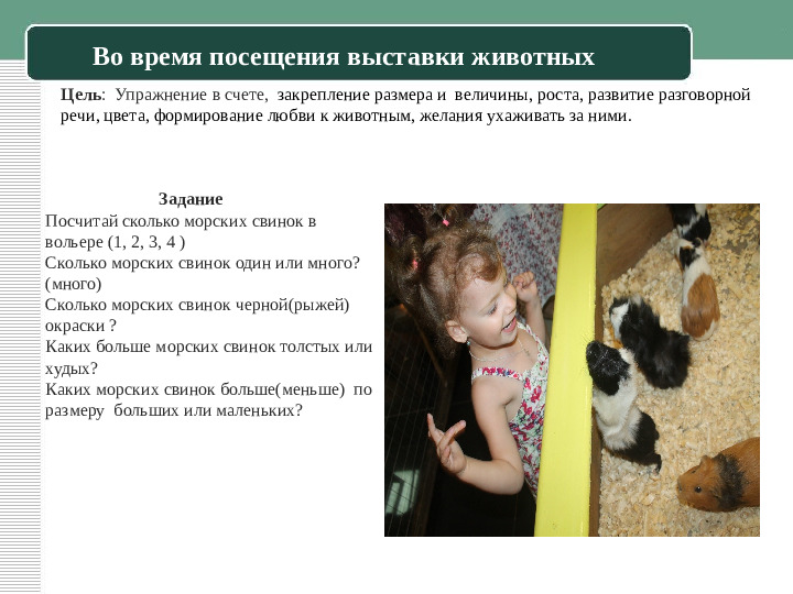 Презентация к семейному пректу "Занимательная математика"
