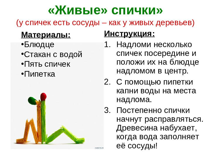 Познавательно-исследовательский проект "В поисках неизведанного..."