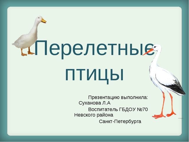 Презентация для дошкольников "Перелетные птицы"