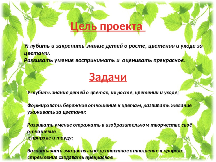 Презентация проекта " Мир цветов"