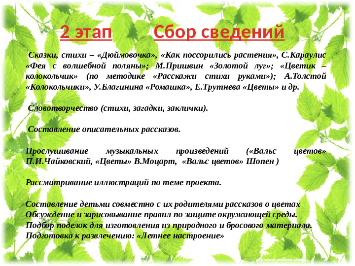 Презентация проекта " Мир цветов"