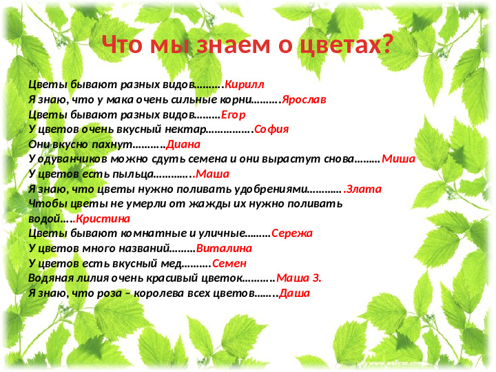 Презентация проекта " Мир цветов"