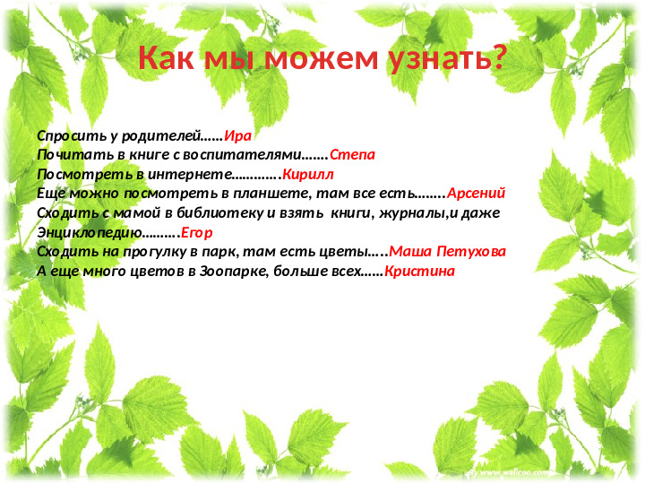Презентация проекта " Мир цветов"
