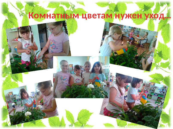 Презентация проекта " Мир цветов"