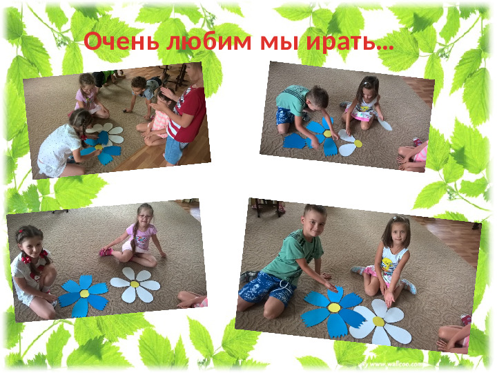 Презентация проекта " Мир цветов"