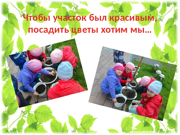 Презентация проекта " Мир цветов"