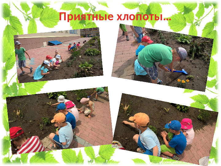 Презентация проекта " Мир цветов"