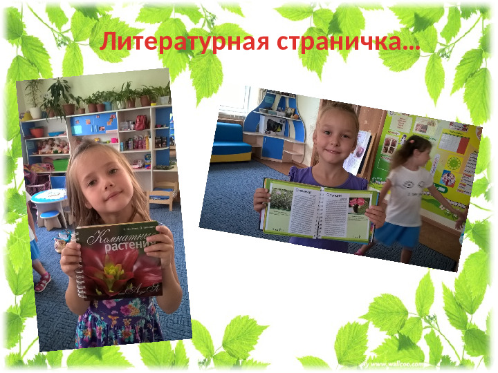 Презентация проекта " Мир цветов"