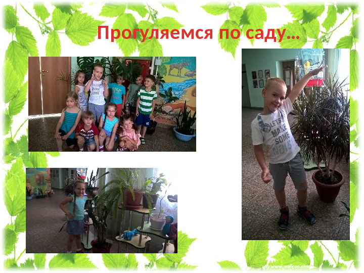 Презентация проекта " Мир цветов"