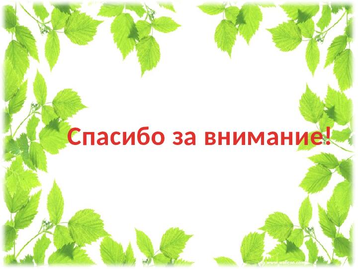 Презентация проекта " Мир цветов"