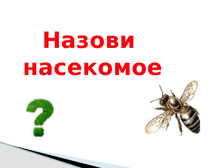 Презентация по окружающему миру "Мир животных".