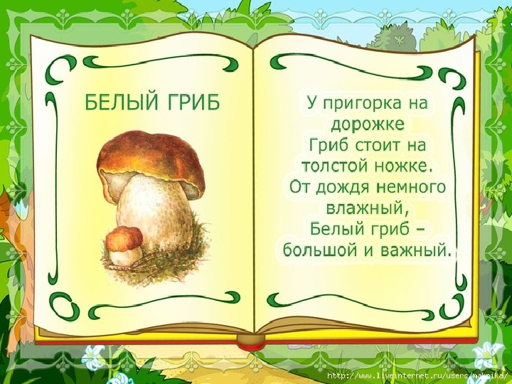 Презентация по образовательной области Познавательное развитие (ФЦКМ) "В лес по грибы"
