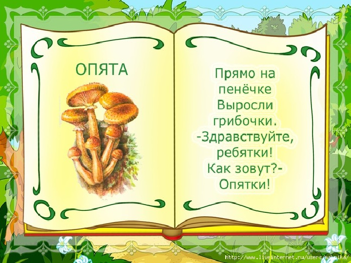 Презентация по образовательной области Познавательное развитие (ФЦКМ) "В лес по грибы"