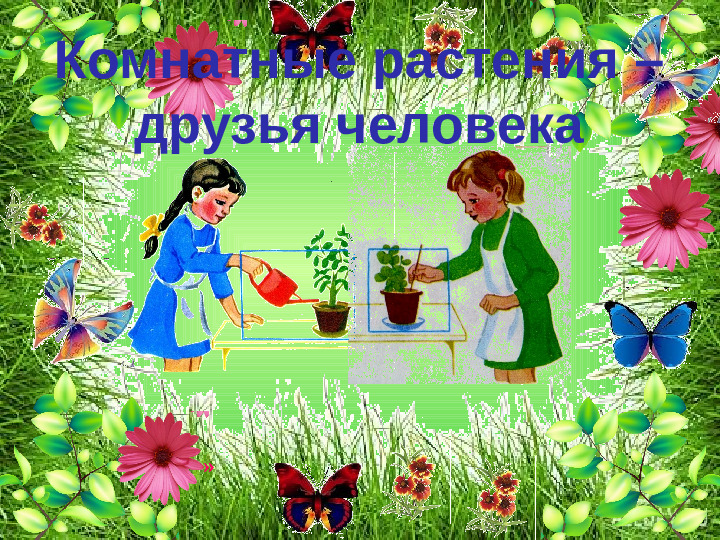 Презентация по ОО "Познание" на тему "Зачем человеку растения" стр дош. возраст