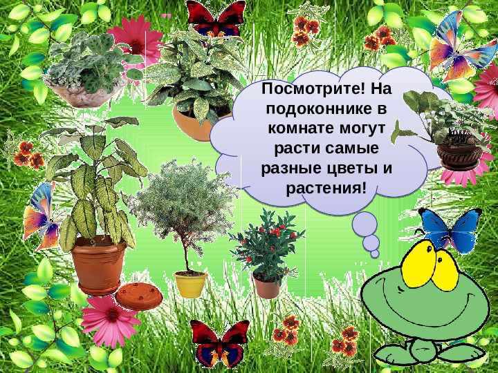 Презентация по ОО "Познание" на тему "Зачем человеку растения" стр дош. возраст