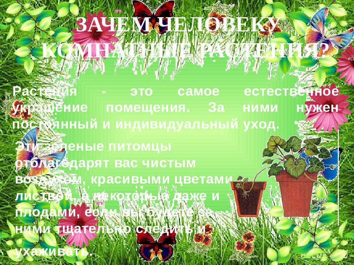 Презентация по ОО "Познание" на тему "Зачем человеку растения" стр дош. возраст