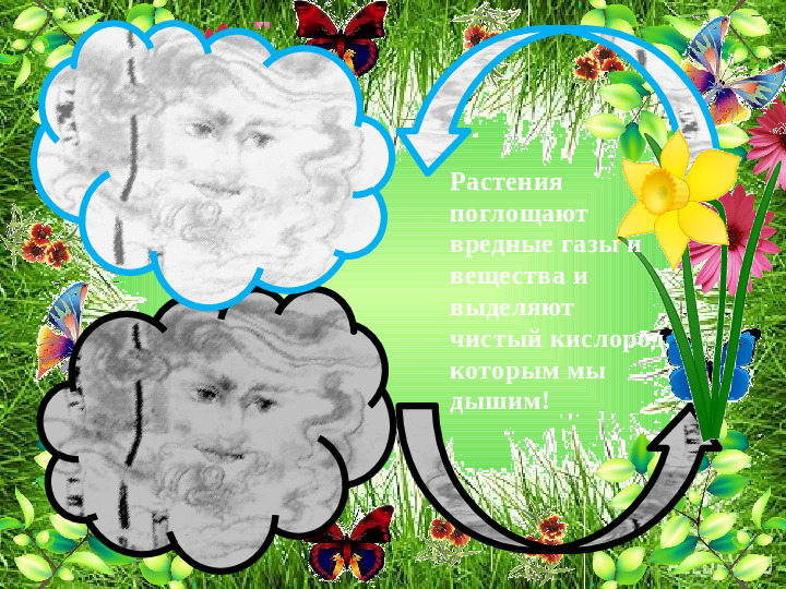 Презентация по ОО "Познание" на тему "Зачем человеку растения" стр дош. возраст