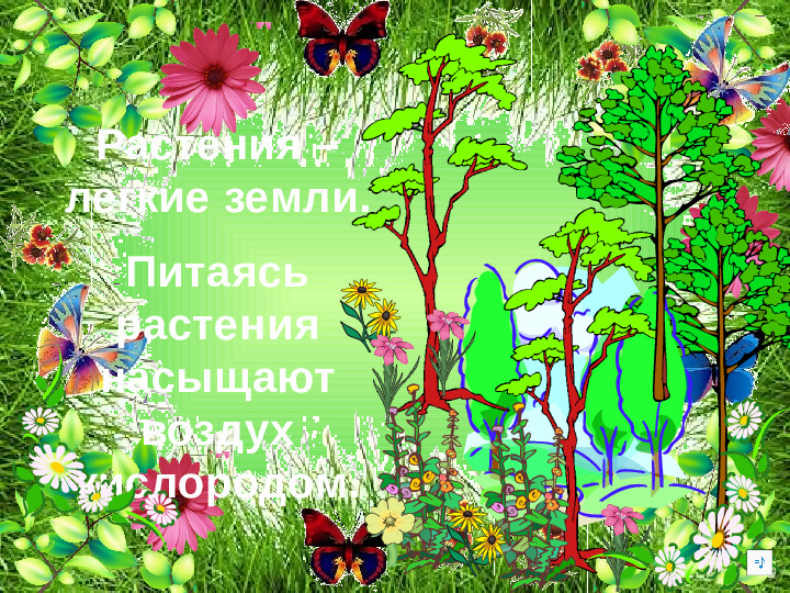 Презентация по ОО "Познание" на тему "Зачем человеку растения" стр дош. возраст