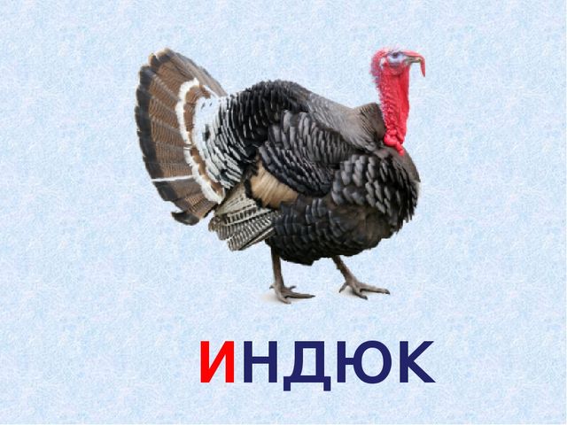 Презентация к занятию в группе предшкольной подготовки "Звук и буква И"