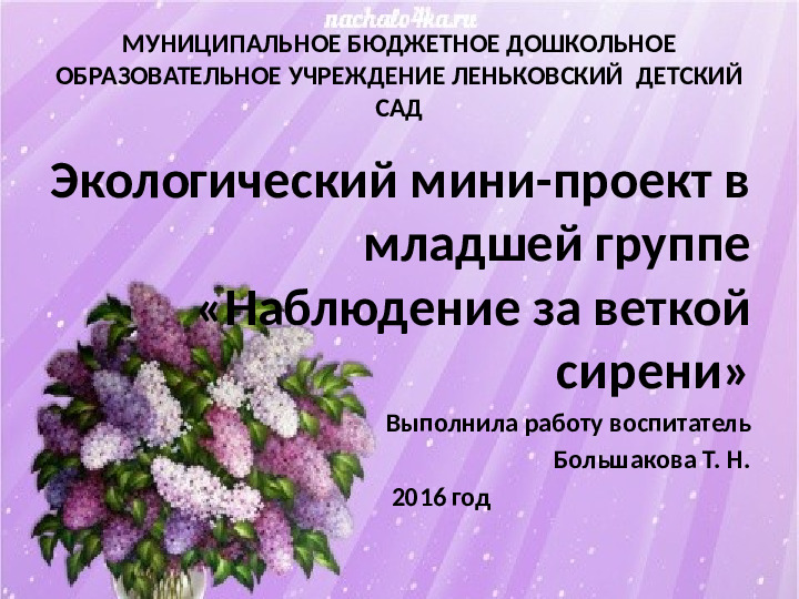 Презентация по экологии "Наблюдение за веткой сирени" (Младший дошкольный возраст)