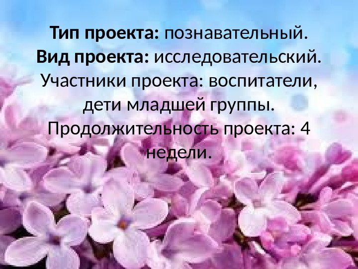 Презентация по экологии "Наблюдение за веткой сирени" (Младший дошкольный возраст)