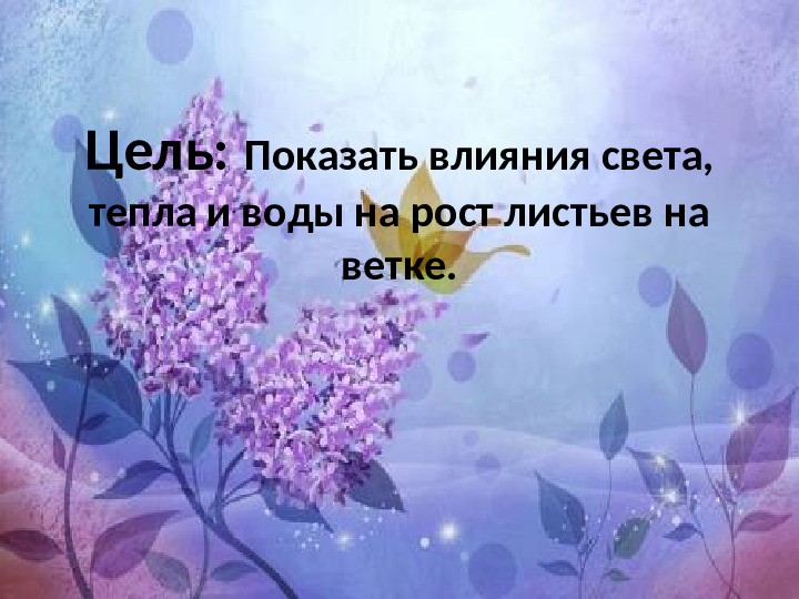 Презентация по экологии "Наблюдение за веткой сирени" (Младший дошкольный возраст)