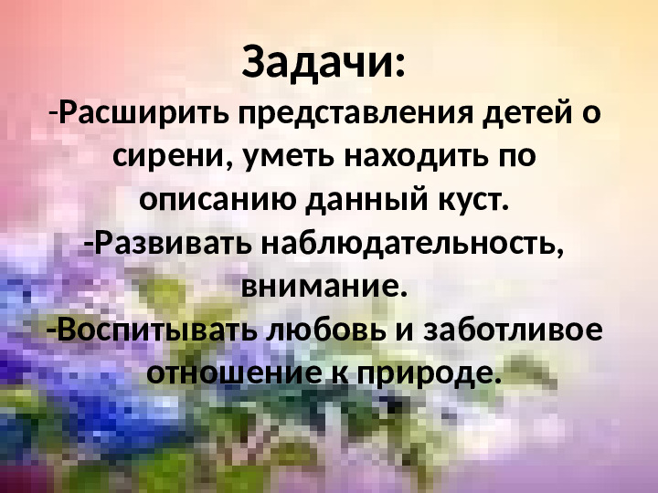Презентация по экологии "Наблюдение за веткой сирени" (Младший дошкольный возраст)