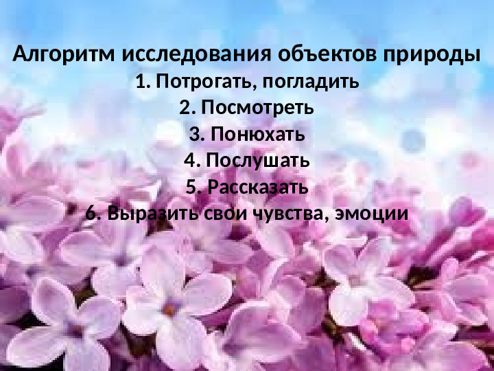 Презентация по экологии "Наблюдение за веткой сирени" (Младший дошкольный возраст)