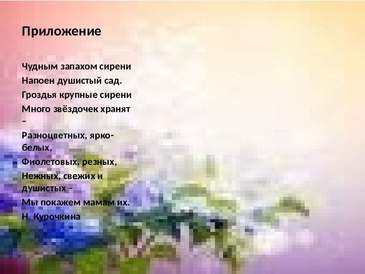 Презентация по экологии "Наблюдение за веткой сирени" (Младший дошкольный возраст)