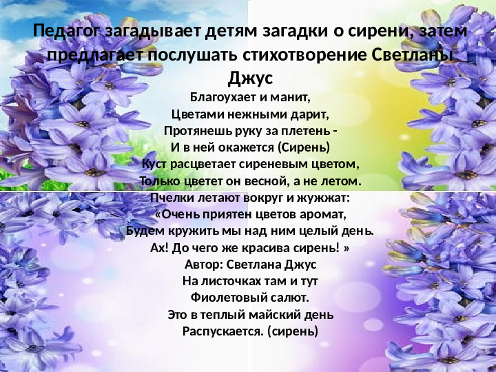 Презентация по экологии "Наблюдение за веткой сирени" (Младший дошкольный возраст)