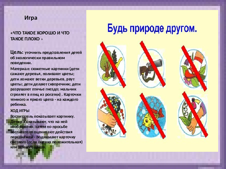 Презентация по экологии "Наблюдение за веткой сирени" (Младший дошкольный возраст)