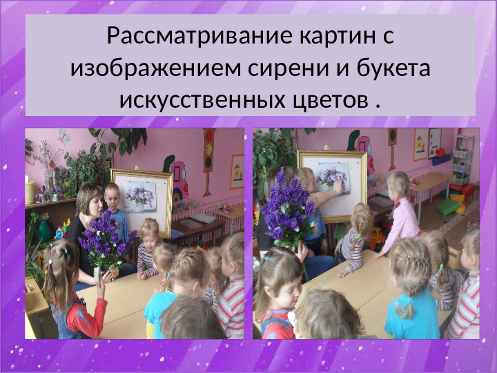 Презентация по экологии "Наблюдение за веткой сирени" (Младший дошкольный возраст)