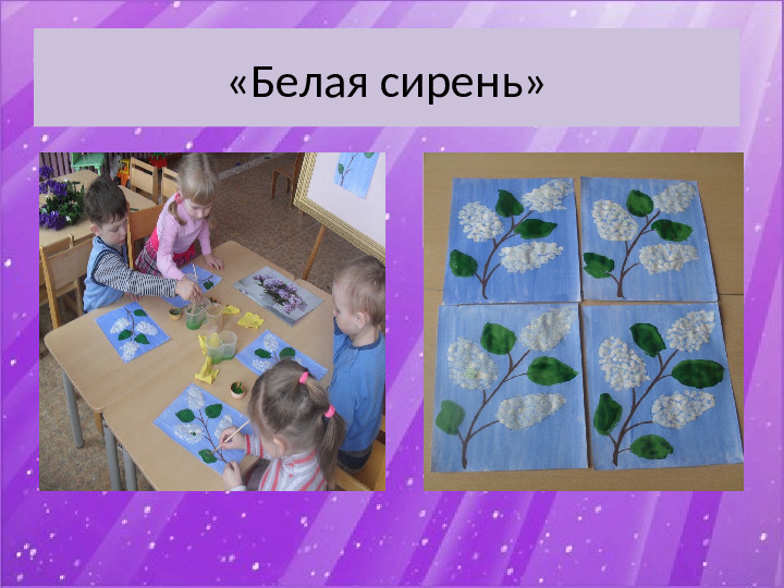 Презентация по экологии "Наблюдение за веткой сирени" (Младший дошкольный возраст)