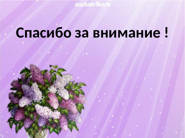 Презентация по экологии "Наблюдение за веткой сирени" (Младший дошкольный возраст)
