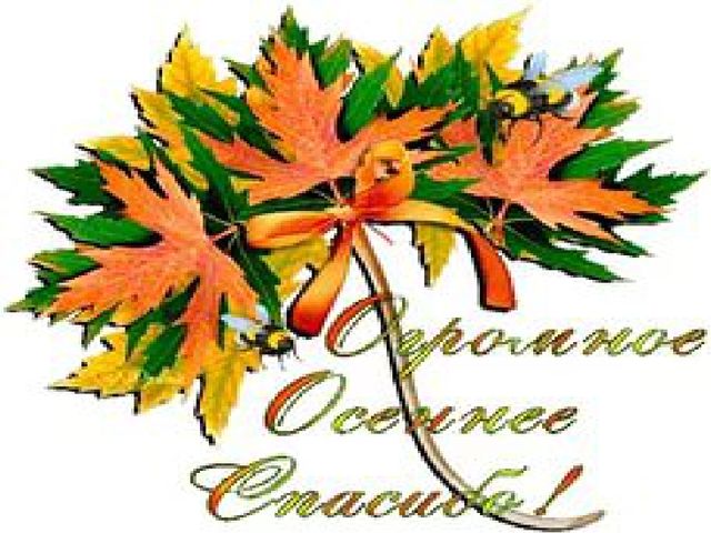 Презентация "Осенний лес" - музыкально-познавательное занятие