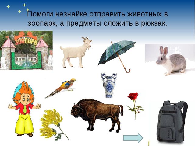 "Играем с Незнайкой в детском саду"